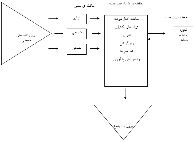 مدل نمایی یا مدل هنجاری حافظه اتکینسون و شیفیرین 